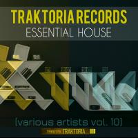 Artwork for Essential House, Vol. 10 by Various Artists