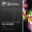 Artwork for The Secret (Original Mix)