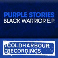 Artwork for Black Warrior E.P. by Purple Stories