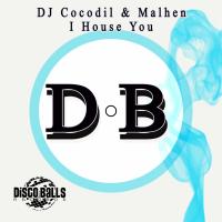 Artwork for I House You by DJ Cocodil