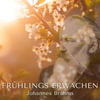 Artwork for Frühlings Erwachen (432 HZ) by Johannes Brahms