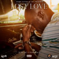 Artwork for Lost Love (feat. Ran Blacc) by XI da ' MC