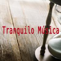 Artwork for Tranquilo Música by Musica Relajante