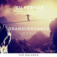 Artwork for The Balance by Silverfox