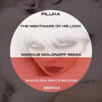 Artwork for The Nightmare Of His Look (Markus Molonoff Remix) by Piluka