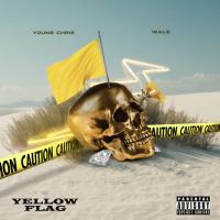 Artwork for Yellow Flag by Young Chris