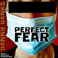 Artwork for Perfect Fear by Danny Ranks