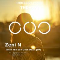 Artwork for When The Sun Goes Down (EP) by Zeni N