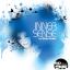 Artwork for Inner Sense (Human8 Remix)