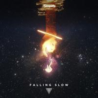 Artwork for Falling Slow by She Was Silver