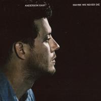 Artwork for Maybe We Never Die by Anderson East