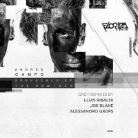 Artwork for Andres Campo, Remixed, Grey by Andres Campo