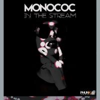 Artwork for Monococ In The Stream by Monococ