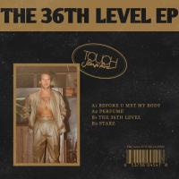 Artwork for The 36th Level by Touch Sensitive