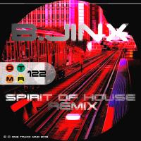 Artwork for Spirit Of House (B. Jinx Remix) by Housego