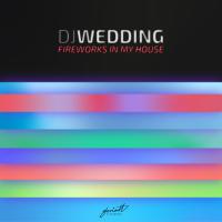 Artwork for Fireworks In My House by DJ Wedding