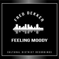 Artwork for Feeling Moody by Fred Dekker