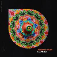 Artwork for Marimba by Joseph Gaex