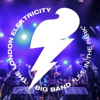 Artwork for Live In The Park by London Elektricity Big Band