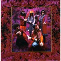 Artwork for Grow Fins - Rarities 1965-1982 by Captain Beefheart