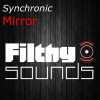 Artwork for Mirror by Synchronic