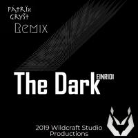 Artwork for The Dark (Remix) by EINRIDI