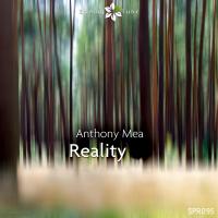 Artwork for Reality by Anthony Mea