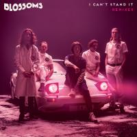 Artwork for I Can't Stand It (Remixes) by Blossoms