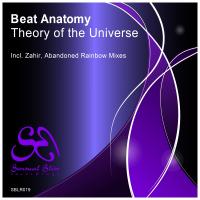 Artwork for Theory of The Universe by Beat Anatomy