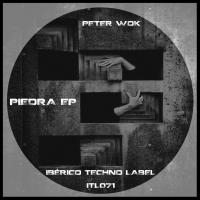 Artwork for Piedra EP by Peter Wok