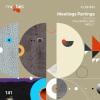 Artwork for Meetings Partings by K.Oshkin