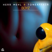 Artwork for Boyz by Herr Mehl