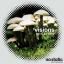 Artwork for Visions(Bitter Suite Remix)