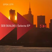 Artwork for Selecta EP by Seb Skalski