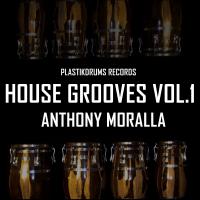 Artwork for House Grooves 1 by Anthony Moralla