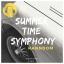 Artwork for Summer Time Symphony (Original Mix)