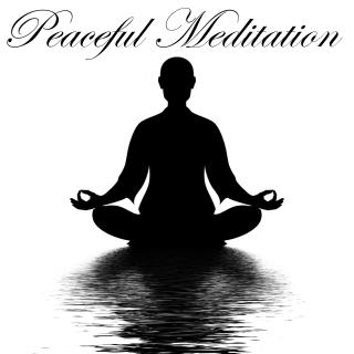 Artwork for Waves of Calmness