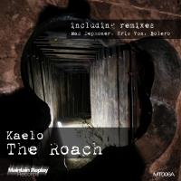 Artwork for The Roach by Kaelo