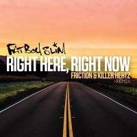 Artwork for Right Here Right Now (Friction & Killer Hertz Remix) by Fatboy Slim