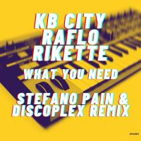 Artwork for What you need (Stefano Pain & Discoplex Remix) by KB City