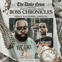 Artwork for Boss Chronicles by Hoggy D