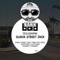 Artwork for Guava Street Jack by Jesusdapnk