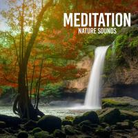 Artwork for Meditation by Nature Sounds