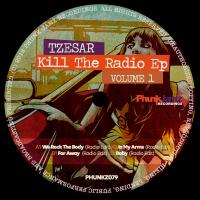 Artwork for Kill The Radio EP, Vol. 1 by Tzesar