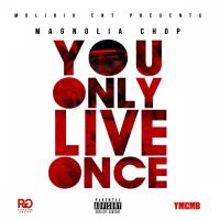 Artwork for Y.O.L.O. (You Only Live Once) by Magnolia Chop