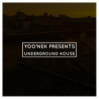 Artwork for Yoo'nek Presents Underground House by Various Artists