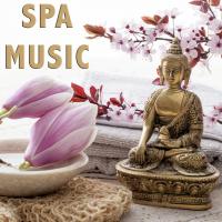 Artwork for Spa Music by Massage Tribe