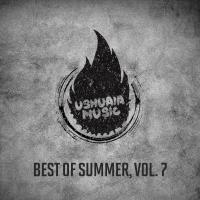 Artwork for Best of Summer, Vol. 7 by Royal Wolf