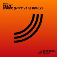 Artwork for Burek (Mike Vale Remix) by PEZNT