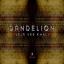 Artwork for Dandelion